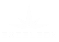 Exceleon-Logo.png
